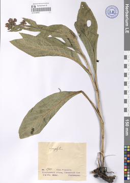 LE 01209522