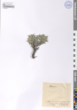 LE 01209524