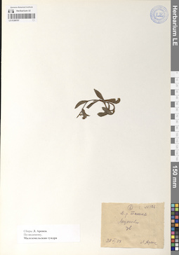 LE 01209707