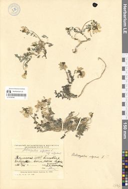 LE 01300349