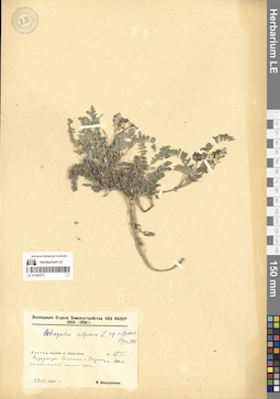 LE 01300373