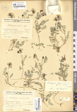 LE 01300374