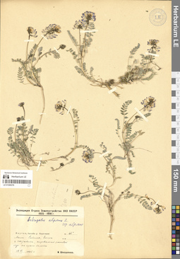 LE 01300376