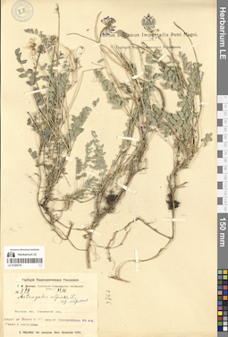 LE 01300379