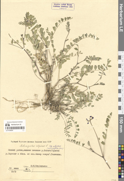 LE 01300391