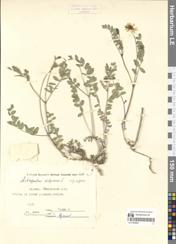 LE 01300402