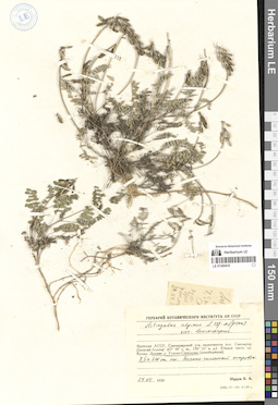 LE 01300410