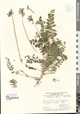 LE 01300430