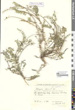 LE 01300441