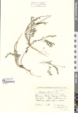 LE 01300442