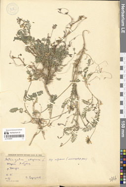 LE 01300447
