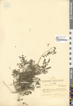 LE 01300450