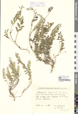 LE 01300476