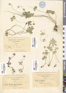 LE 01044787