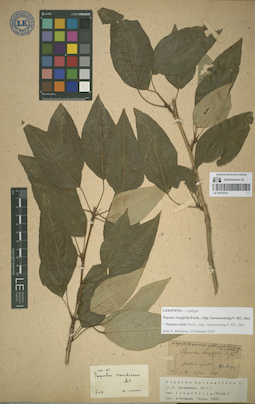 LE 01070763