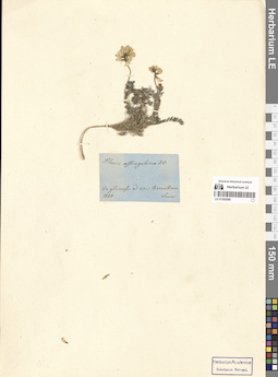 LE 01300590