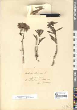 LE 01285827