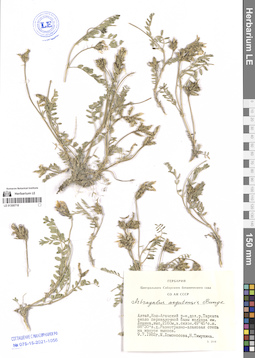LE 01300718