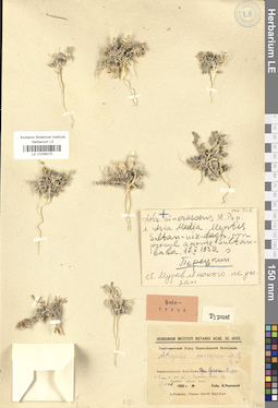 LE 01036270