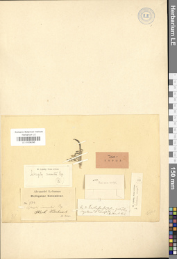 LE 01036295