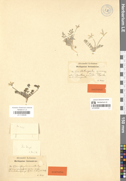 LE 01036296