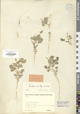LE 01036267
