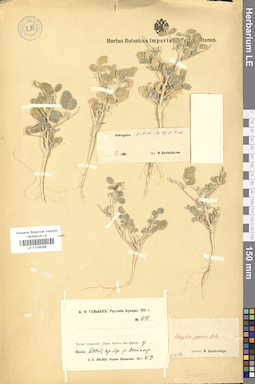 LE 01036269