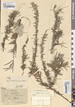 LE 01070834