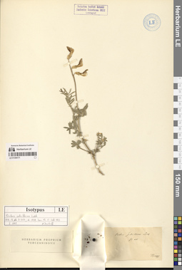 LE 01304171