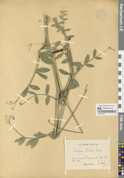 LE 01304187