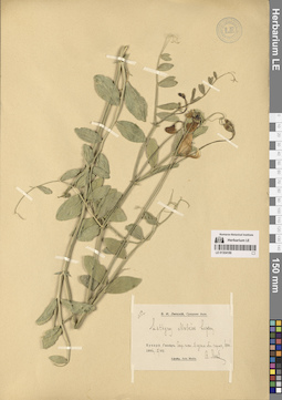LE 01304189