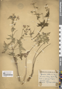 LE 01304192