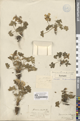 LE 01304197