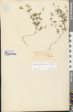 LE 01304207