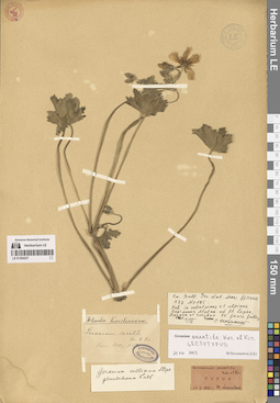 LE 01304227