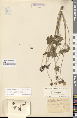 LE 01304228