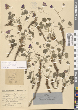 LE 01304242