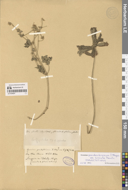LE 01304251
