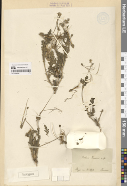 LE 01304280