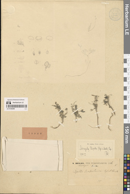 LE 01304296