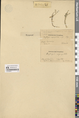 LE 01304319