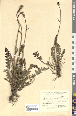LE 01301526