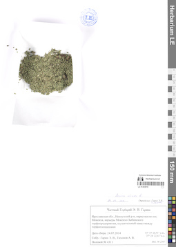 LE 01303916