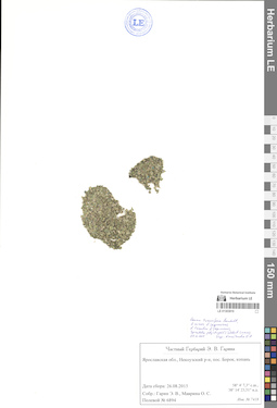 LE 01303919
