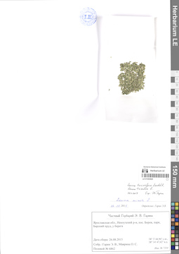 LE 01303920