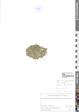LE 01303924