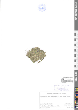 LE 01303925
