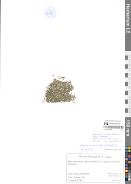 LE 01303928