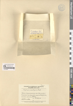LE 01304351