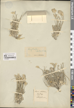 LE 01304374